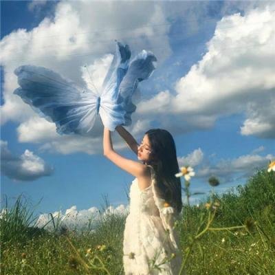 树篱女巫